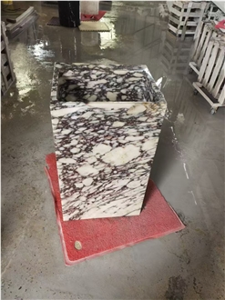 Breccia Capraia White Purple Marble Pedestal Basin