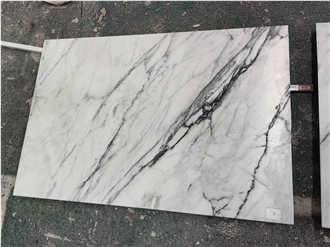 Home Decoration Calacatta Paonazzo Marble Tiles