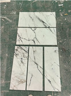 Home Decoration Calacatta Paonazzo Marble Wall Tiles