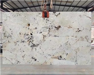 Natural Patagonia White Granite Slabs