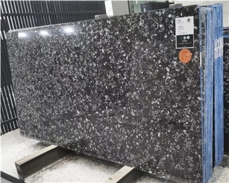 Natural Sea Shell Marble Slabs