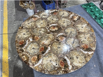 Round Petrified Wood Fossil Gem Stone Solid Surface Table Tops