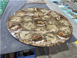 Round Petrified Wood Fossil Gem Stone Solid Surface Table Tops