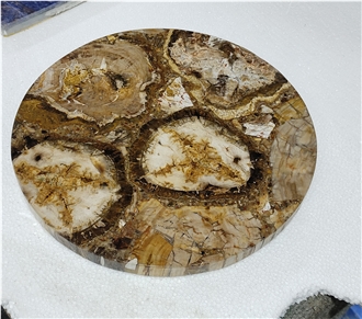 Round Petrified Wood Fossil Gem Stone Solid Surface Table Tops