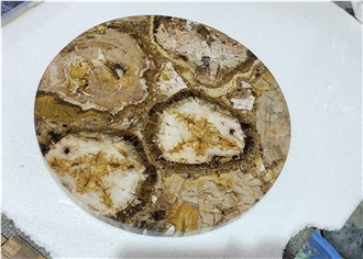 Round Petrified Wood Fossil Gem Stone Solid Surface Table Tops
