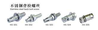 Stainless Steel Back Bolt Screw