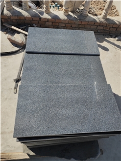 Shangdong G654 Granite Polished Tiles For Interior Flooring