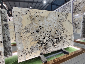 New Arrival Pandora Granite Slabs For Wall And Floor