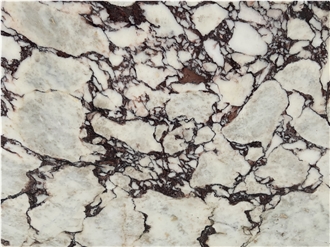 Calacatta Viola Marble Slabs