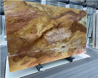 Golden Nautilus Quartzite Slabs