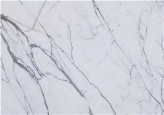 CMF 005 Statuario  Marble Slabs