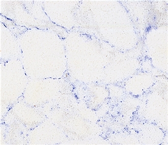 Multiple Vein Series Quartz Slabs/Tiles