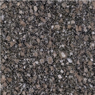 Gandola Granite Slabs