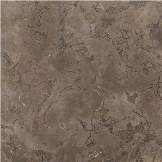 Melly Brown Marble Tiles