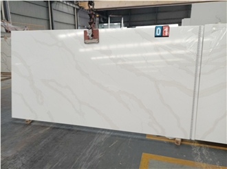 Goldtop 5059 Calacatta Paris Quartz Slabs
