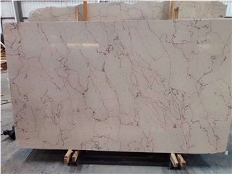 Beautiful Persia Shell Beige Marble Slabs