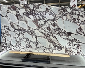 Calacatta Viola Marble Slabs