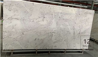 SNOW MOUNTAIN SILVER FOX Sintered Stone Slabs