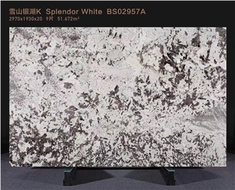 Hot Sale Elegant Splendor White Granite Slabs