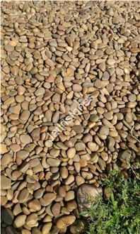 Indian Mixed River  Pebble Stone