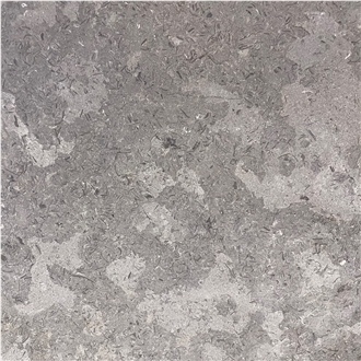 Fossil Gray Limestone