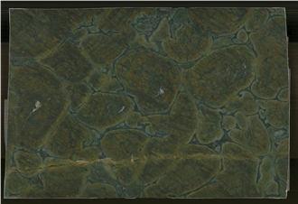 Vitoria Regia Quartzite Green Peace Quartzite Slabs