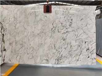 Damasco White Marble Slabs Monet Garden Stone Tile