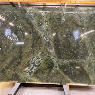 Vitoria Regia Quartzite Slab For  Floor Tile