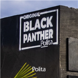 Nero Pantera Quartzite, Black Panther Quartzite Blocks