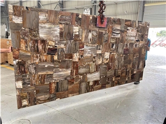 Large Size Brown Petrified Wood Semiprecious Stone Slabs