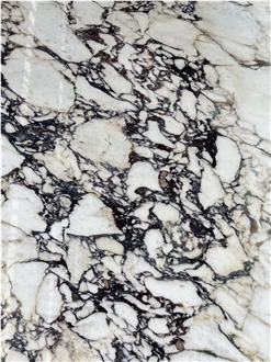 Luxury Marble Island Italy Marble Calacatta Viola Countertop