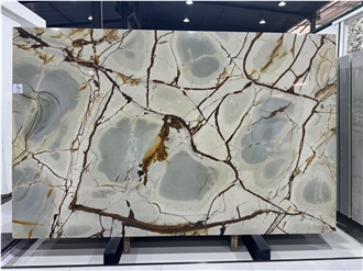 Brazil Blue Roma Quartzite Big Slabs For Living Room Design