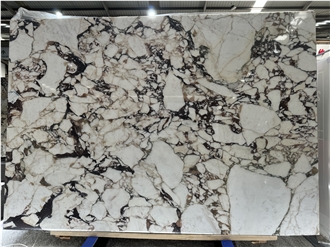 Italy Calacatta Viola Marble White With Purple Veins  Tiles