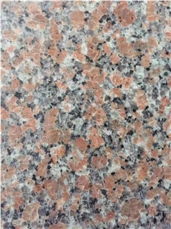 Begonia Red Granite Slabs With Competitive Price