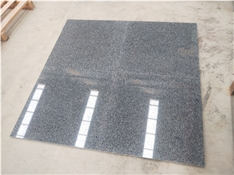 Chinese Hainan G654 Granite  Slabs