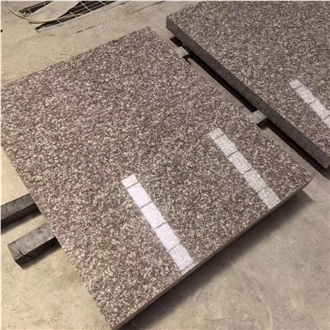 ES High Quality Natural G664 Granite Tiles