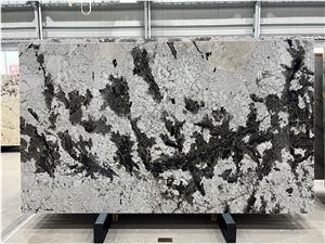 Silver Fox Granite Slabs