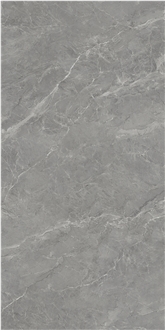 Silver Dragon Grey Sintered Stone Tiles