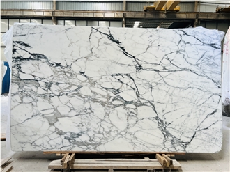 Factory Price Arabescato Corchia Marble Slabs