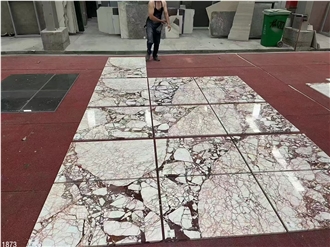 Calacatta Burgundy Marble Tiles Violet Viola Red Pink Stone