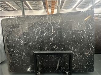 Fossil Black Marble Slabs Marmor Special Stone Tile