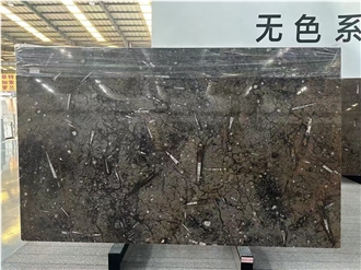 Gran Fossil Brown Marble Slabs Pietra Di Erfoud Jurassic Sea