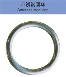 Stainless Steel Ring