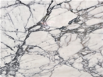 High Quality Arabescato Corchia  Marble Slabs