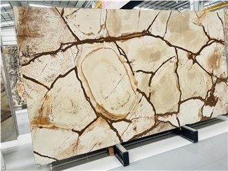 Natural Luxury Stone Yellow Quartzite Slabs