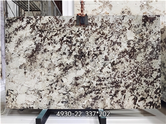 Snow Mountain Silver Fox Granite Slabs