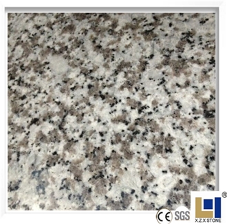 Wholesale G439 Pauline Grey Big White Flower Granite Tiles