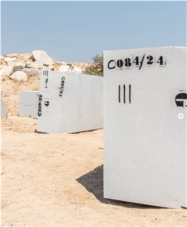 Cinza Caraculo Granite Blocks