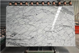 Italy Arabescato White Marble  Slabs