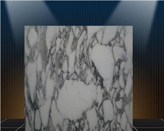 Arabescato Marble Tiles-Polished